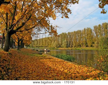Autumn View At The River In Tarru, Estonia