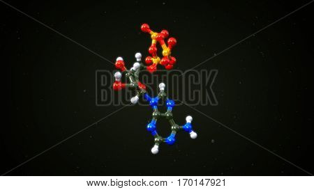 The two most important hormones are tetraiodothyronine (thyroxine or T4) and triiodothyronine (T3). 3D