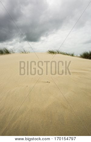 view on a sandy dune with cloudy dramatic sky