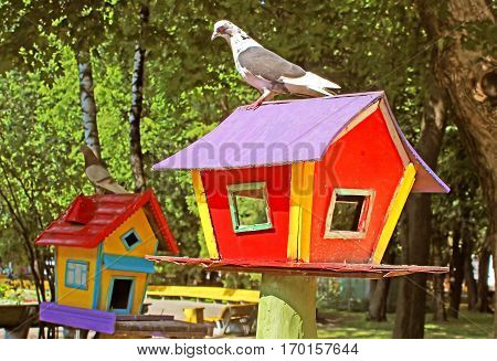 Birdhouse at the park at the nice summer day