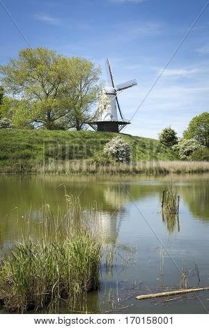 Typical Dutch landscape with a canal and a windmill, Molen de Koe, Veere, The Netherlands