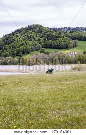 landscape of the Brenet Lake and Jura mountain with couple of old man and woman sitting on a bench and feeding a swan Le Pont Switzerland