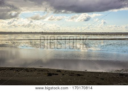 shoreline of Ameland Island with view over the wadden sea with clouds and tourmented sky reflecting in water at dawn