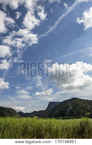 summer landscape of Brenet lake near Le pont canton de Vaud Switzerland