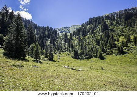 Bucolic green summer alpine landscape Swiss Alps mountain massif canton du Valais Switzerland