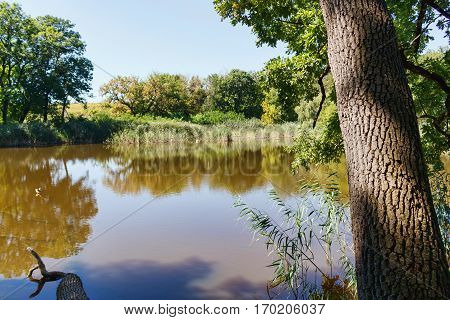 Lake near forest with reflection, reed in Taul Park, north of Moldova