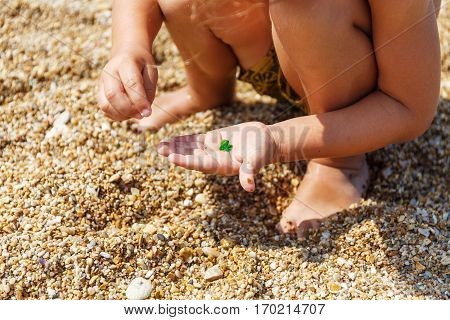 Little boy collects pebbles on the beach