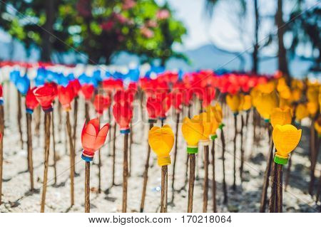 Flowers Made From A Plastic Bottle. Plastic Bottle Recycled. Waste Recycling Concept