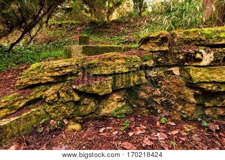 Old stones wall with moss in the park