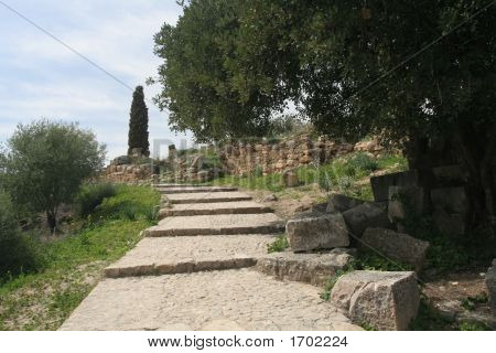 Volubilis