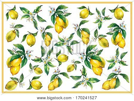 The background of the branches of fresh citrus fruit lemons with green leaves and flowers. Hand drawn watercolor painting on white background.