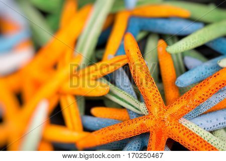 Starfish (Asteroidea) for sale at market in Greece
