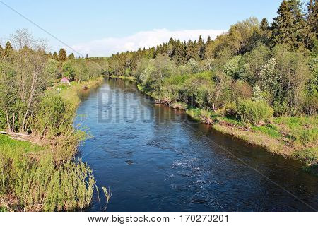 Komela river in spring flood sun day green leaves