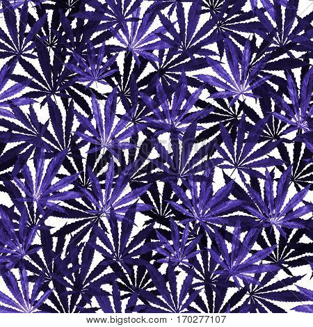 Crowd of Cannabis leaves on white background. Hand drawn watercolor illustration of the plant Cannabis Sativa or Marijuana. Pattern with marijuana leaf for label poster web.
