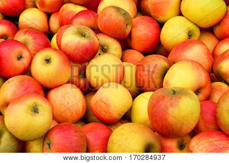 Verneuil sur Seine; France - october 16 2016 : stall of apple at the market in automn