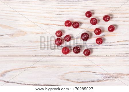 Wild Cranberries Vaccinium Oxycoccus , Top View. Clipping Paths.