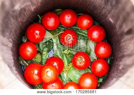 Pickled tomatoes with herbs in the wooden cask.