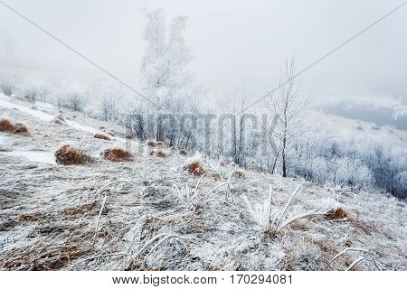 Ukraine. Carpathians. Dzembronya. From the series Frosty morning