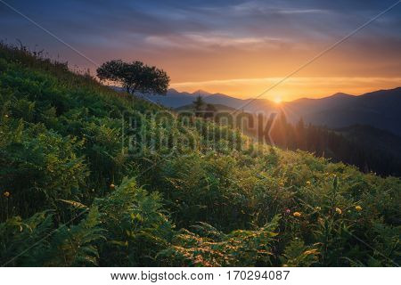 Ukraine. Carpathians. Dzembronya. Sunset at mount Kosarische