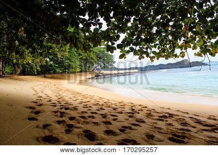Under the shade of a tree in a beautiful beach with clear water in Sao Tome and Principe Island, in Africa