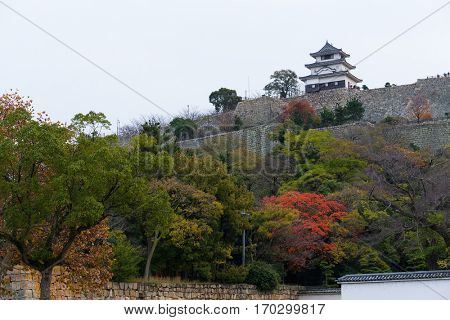 Marugame Castle in Japan
