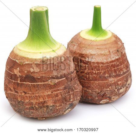 Edible root of colocasia over white background