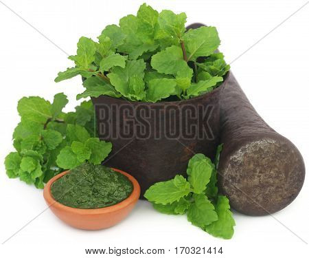 Bunch of mint leaves in a mortar with ground paste in a pottery overw white background