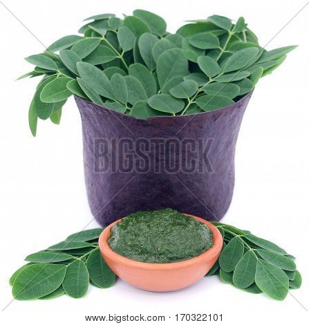 Edible moringa leaves in a vintage mortar with ground paste over white background