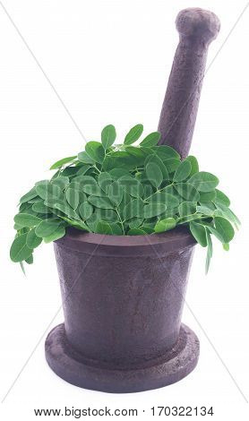 Edible moringa leaves in a vintage mortar over white background