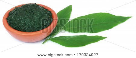 Medicinal pigeon pea leaves with ground paste over white background