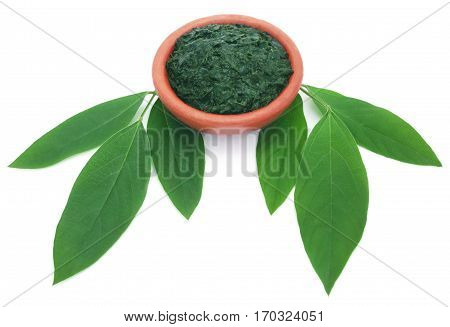 Medicinal pigeon pea leaves with ground paste over white background