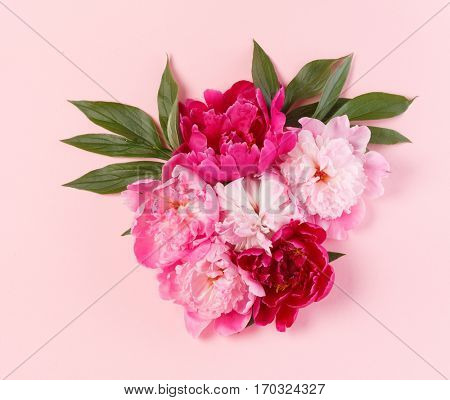 nice peonies