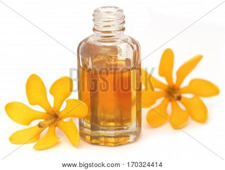 Gardenia coronata or Pinwheel Gardenia with essence in a bottle