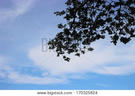 Shadow below the sky on date clear sky.
