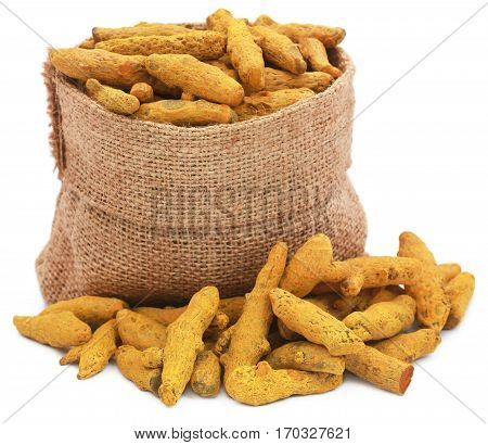 Turmeric in a sack over white background