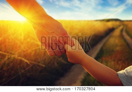hands of the parent and litlle child in field on road 