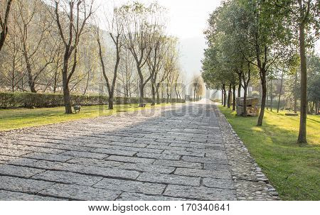 block stone walkway inside large garden near mountain