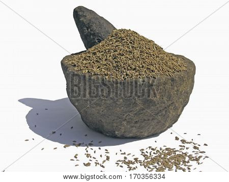 Cumin the fruits of Cuminium cyminum used in herbal medicines