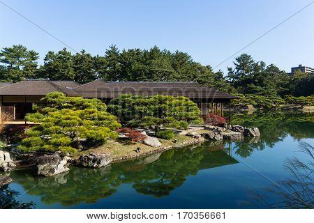 Ritsurin Garden in autumn