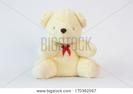 Stopper eyes bear beautiful on a white background.