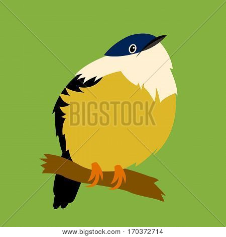 manakin vector illustration style Flat side front