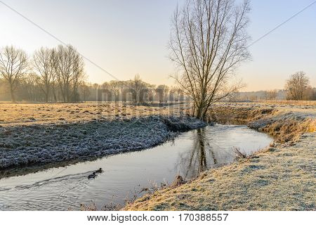 Picturesque rural winter landscape with a thin layer of snow and hoarfrost and a stream with swimming mallards in low early morning sunlight.