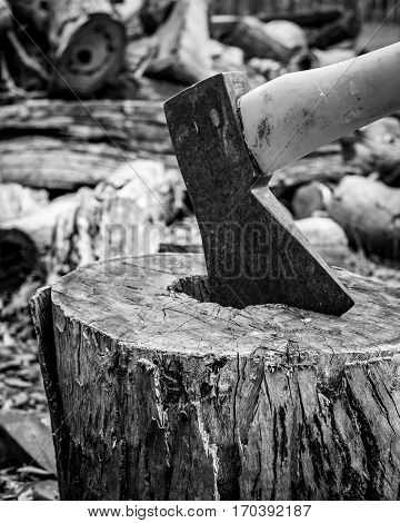 Axe head in timber log black and white