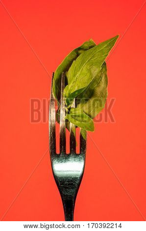 Basil leaf on fork with red orange background