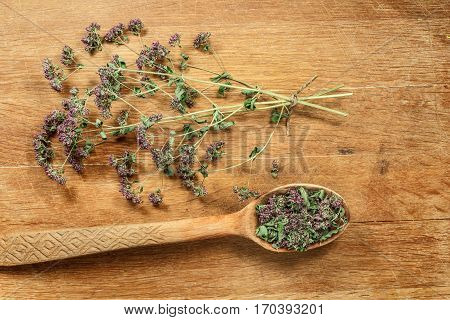 Oregano. Dried herbs for use in alternative medicine spa herbal cosmetics herbal medicine preparing infusions decoctions tinctures powders ointments butter tea bath.