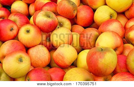Verneuil sur Seine; France - october 16 2016 : stall of apple at the market in automn