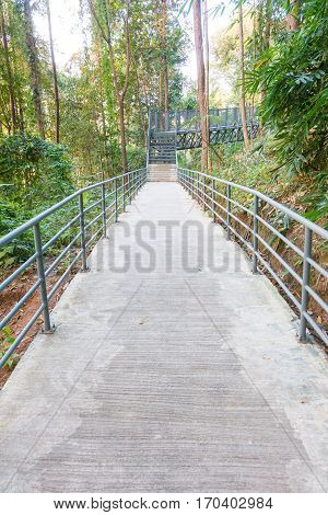 Metal staircase with handrails leading down the canopy walkwaychiangmai thailand.