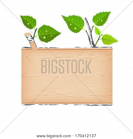 Birch wooden rectangular signboard with green leaves and water drops vector illustration