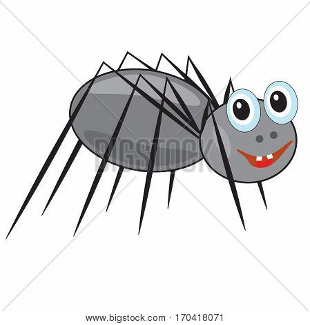 funny smiling spider on a white background