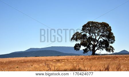 The Grampians range is majestic country in western Victorian Australia.